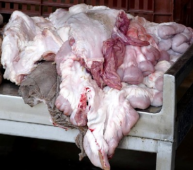 Sheep Offal in a Market in Tunesia